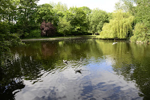 Dublin's Green Spaces and Parks: A Blend of Nature, History, and Recreation